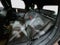 2025 MINI COUNTRYMAN John Cooper Works